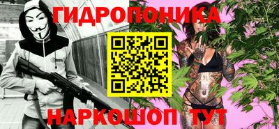 стафф Камышлов