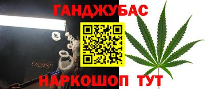стафф Камышлов