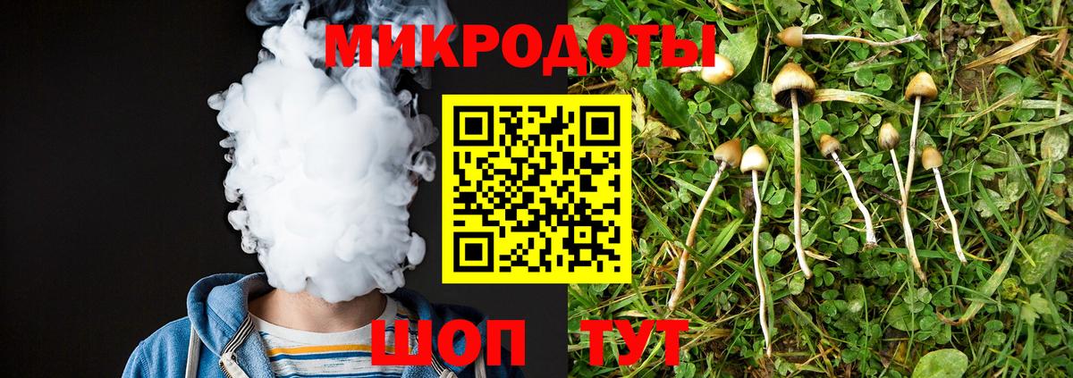 Псилоцибиновые грибы Cubensis  Вход с VPN  Лабытнанги  Псилоцибиновые грибы MAGIC MUSHROOMS 